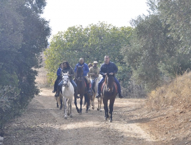  Reiten entlang der gepflasterten Straße 
